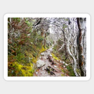 Winter Walk, Wilsons Promontory Sticker